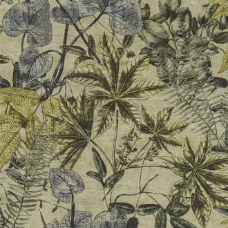 Madagascar F1301-03