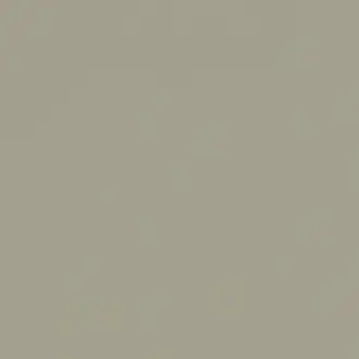 Renzo F1231-22