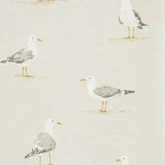 Shore Birds 216563