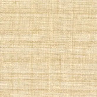 Abaca VP 983 05