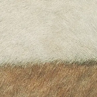 L'habit de Venus VP 970 01