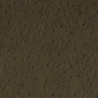 Balule 01 Chocolate