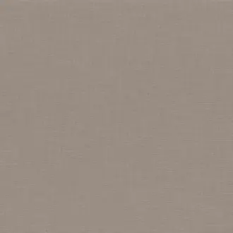 Esprit Taupe 3315 24 62