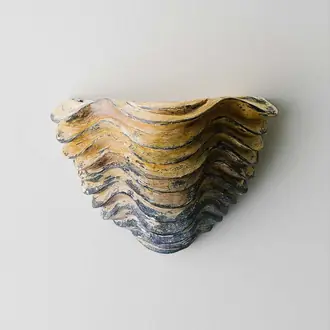 Clam Shell Wall Light Small TWL129S