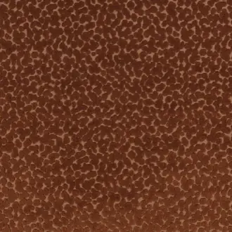 Pop K5328-02