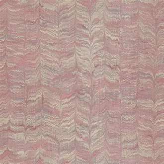 Jaipur Plain 311727