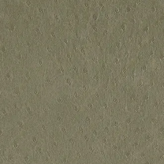 Balule 02 Mocha