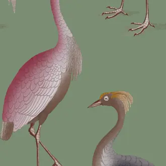 Garzas GDW-5773-003