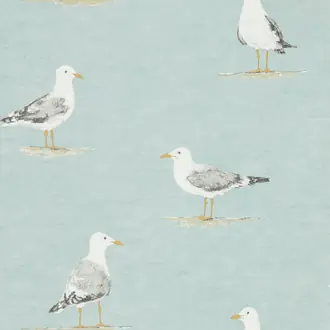 Shore Birds 216564