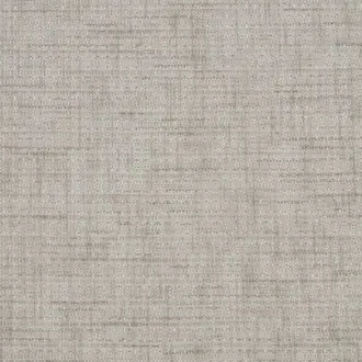Moon Silver