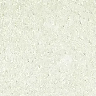 Balule 03 Snowdrop