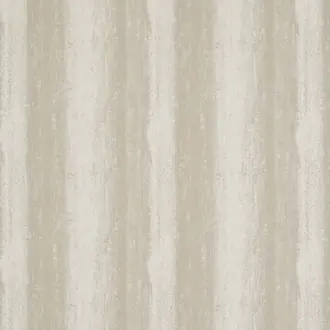 Cambium Putt or Stone 131811
