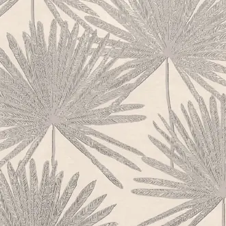 Pacaya Silver Birch W416-02
