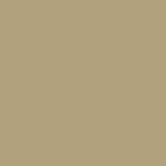 Citrus Stone Paint