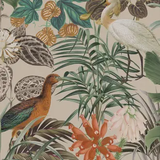 Birds of Paradise BOP502