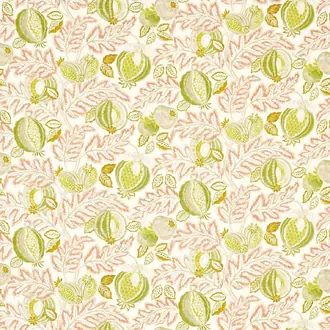 Cantaloupe 227198
