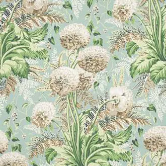 Dahlia AF24536