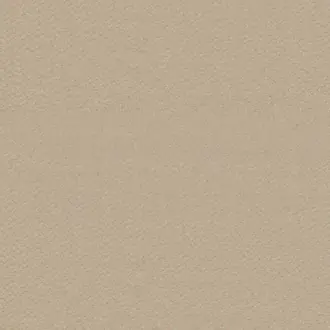 Apollo Taupe