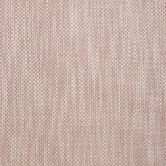 Etoile Lavender