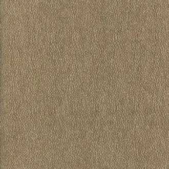 Chroma 92160175