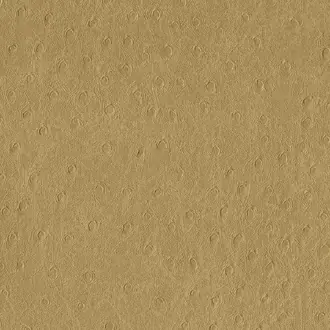 Balule 04 Brown Sugar