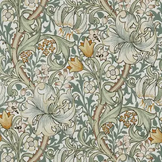 Golden Lily MOW0168-02