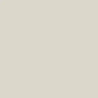 Grey Birch Light 43 Paint