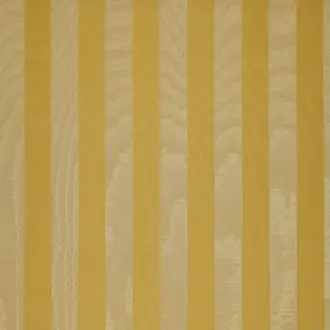 Moire Stripe JT02 1045 002