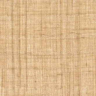 Abaca VP 983 06