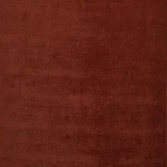 Layton Cinnamon