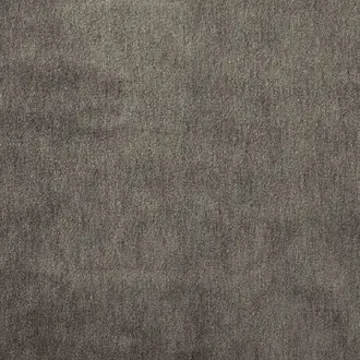 Cape-Mohair Mole