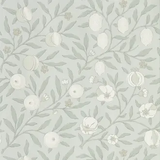 Pure Fruit 216540