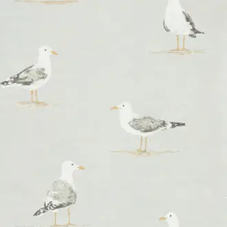 Shore Birds 216565