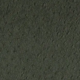 Balule 05 Jet