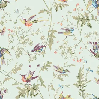 Hummingbirds Cotton