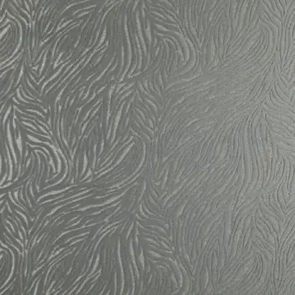 Rafael 01 Graphite