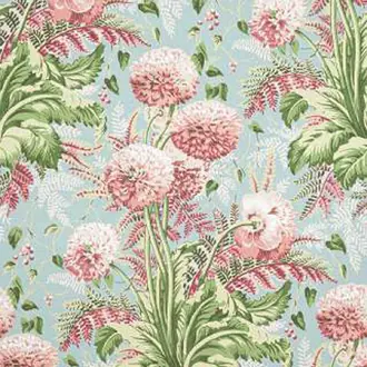 Dahlia AF24537