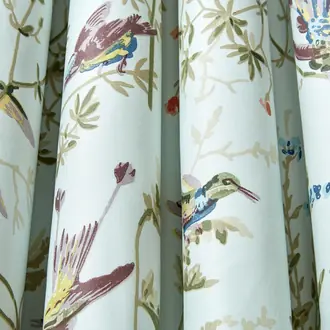 Hummingbirds Cotton