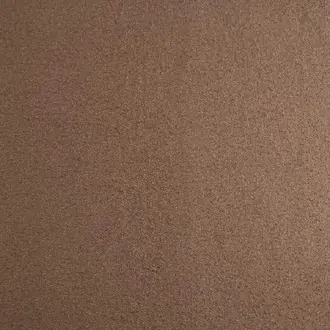 Enver Plaster
