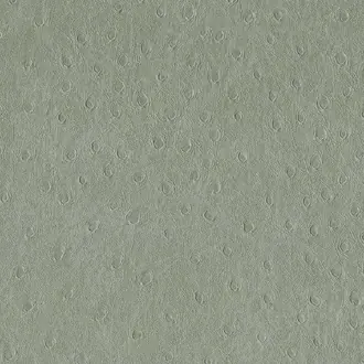 Balule 06 Metal
