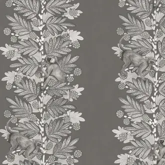 Acacia 109-11055