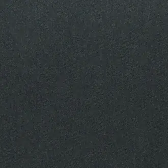 Taiga 0638-16