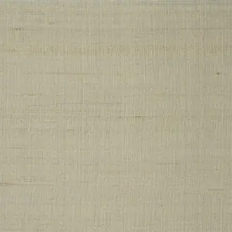 Regent Taffeta FRC2173-02