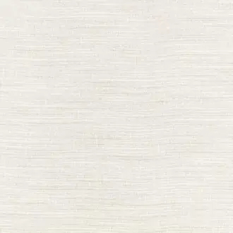 Strand Silverbirch