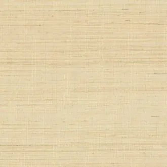 Abaca ABA11