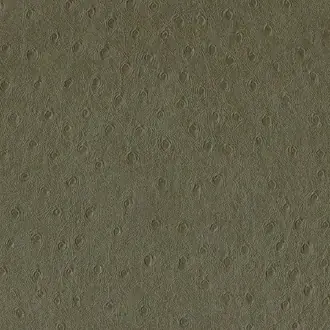 Balule 07 Shale