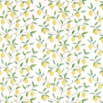 Lemon Tree 226909