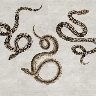 Serpent 10601