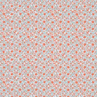 Sand Dollar T15857