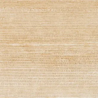 Sinabaye HPC CV-115-06